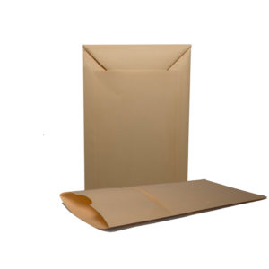 Trifold Seed Envelope