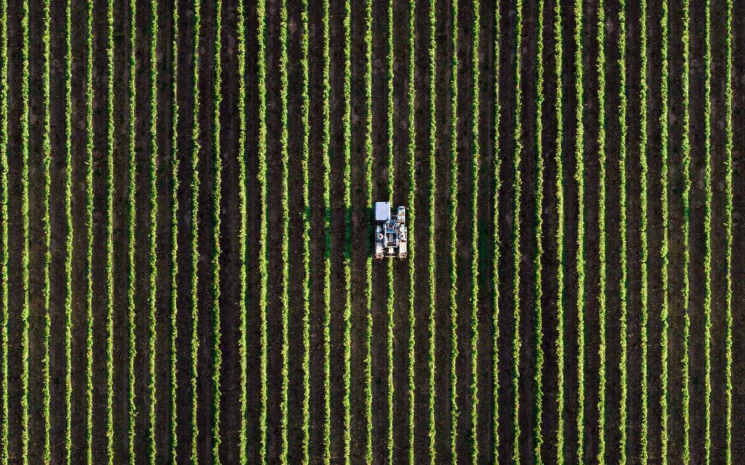 Sustainability & MIDCO 2023