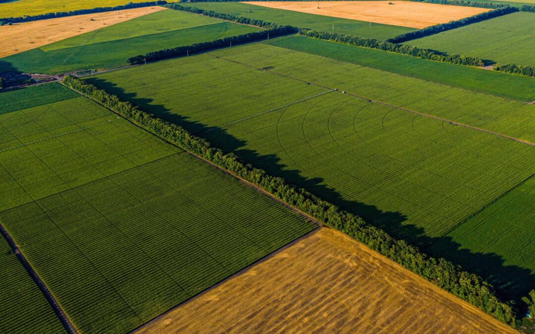 2023 SCC33 National Variety Testing Meeting
